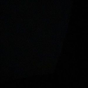 Meet your Posher, Gavin